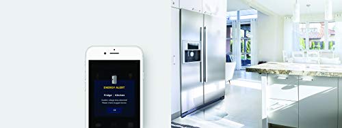 Wall Plug with USB (US)