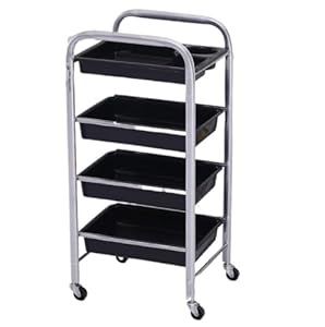 BOGAZY Kosmetikwagen Schönheitssalonwagen Silber, 4-Tiers