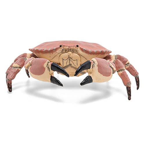Papo - Realistische Krabbenfigur - Pädagogische Meeresfigur - ab 3 Jahren - Meereswelt - handbemalt - REGT die Fantasie an - 8cm x 7,5cm x 2,5cm - pädagogisches Spielzeug - Geschenkidee