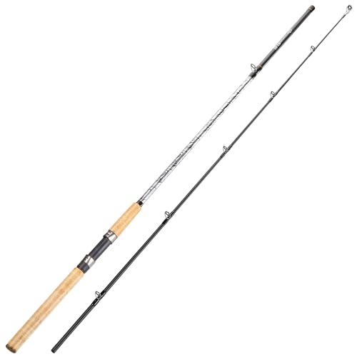 Sougayilang Glass Fishing Rods, Spinning & Casting Rods, Strong, 100% Phenolic Glass Blanks, Stainless Steel Guide- Casting- 9'0