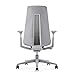 Haworth Fern Office Chair – Ergonomic and Stylish Desk Chair with Breathable Mesh Finish - Without Lumbar Support (Silver Leaf)