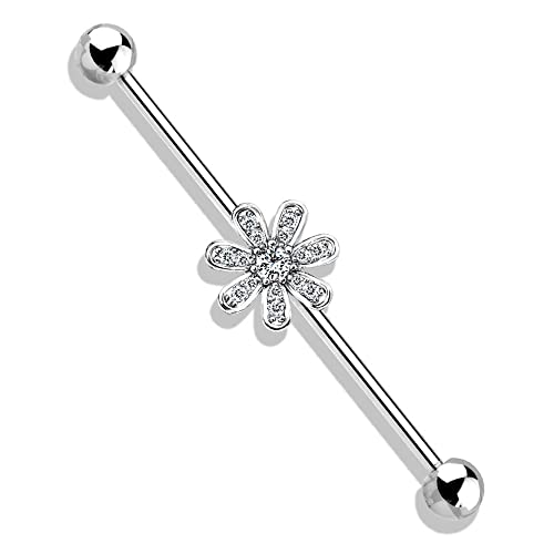 [HSP] C_XgA Xg[go[x sAX 14G WG pF t[  Vo[ {fBsAX Y fB[X