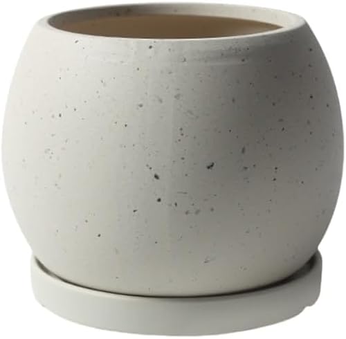 MYJYG Aؔ 픫 zCg  ی^ 󂯎Mt  Aؔ A ϗtA ꌊ k CeA  CeA (zCg,S 14×14×10.5cm)