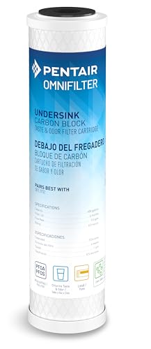 Pentair OMNIFilter CB3 Carbon Water Filter, 10' Undersink Carbon Block Taste & Odor Replacement Filter Cartridge, NSF Certified to Reduce PFOA/PFOS, 10' x 2.5', 0.5 Micron