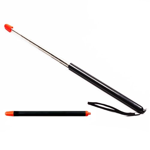 31BJpFXmIrL.jpg 31BJpFXmIrL.jpg