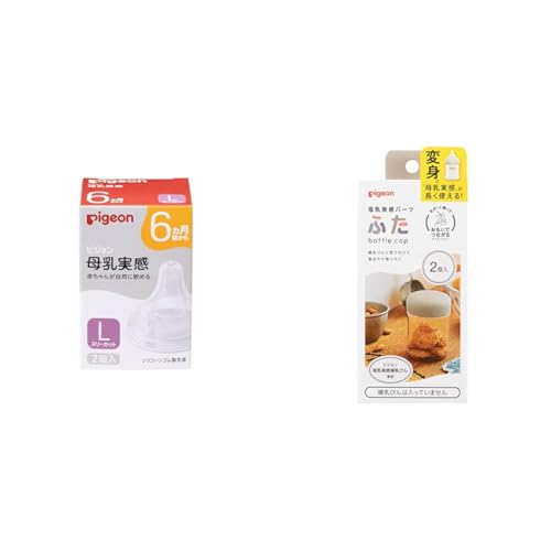 sW   6 L 2 K؂ȋz(b`I)ɓ + p[c ӂyZbgz