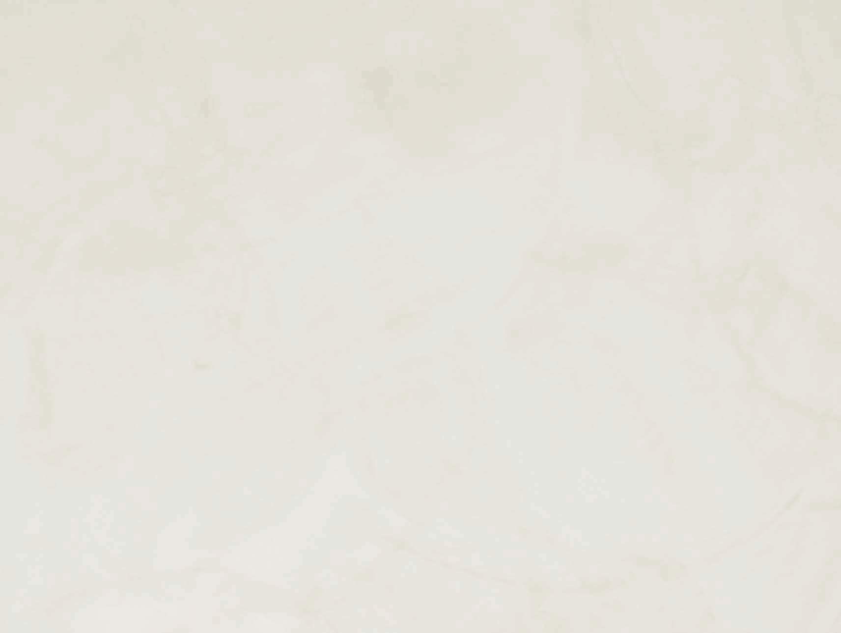 VASARI Lime Plaster & Paint | LIME PAINT | Made from Natural Lime and Powdered Marble | color: Dolomite #14 | size: 5 Gallon