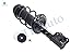PM Auto Pair Front Left-Right Quick Complete Strut-Coil Spring For 2012-2017 Kia Rio