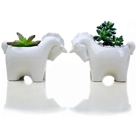 Layboo Horse Plant Window Boxes White Mini Ceramic Flower Pot Cute Animals Succulent Planter Flowerpot Pack of 2 Cover