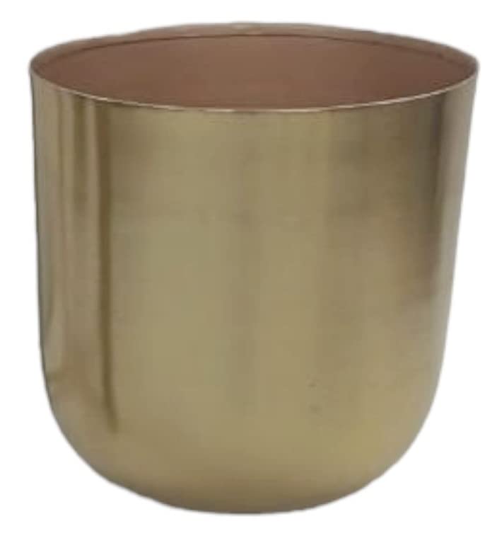 See full amazon price history chart for Indian Decormart Metal Decorative Modern Indoor Planters Flower Pots Home Garden Decor Planter For Living Room Bedroom Interior, Gold Indian Decormart Metal Decorative Modern Indoor Planters Flower Pots Home Garden Decor Planter For Living Room Bedroom Interior, Gold (B0C5T61JNB) Amazon Price History, Amazon Price Tracker
