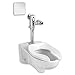 Elongated Toilet White Classic Metal