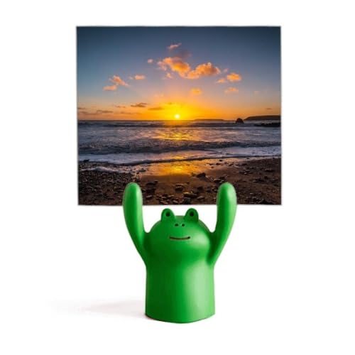 Support de photo plage et mémo grenouille pour ranger vos notes de bureau