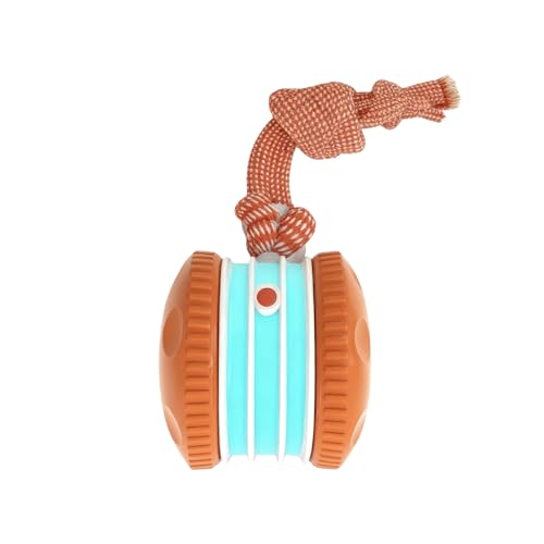 �C���^���N�e�B�u�L��������{�[�� | ���[�V�������m�d���܂Ƃ��� | �����ی^ ���[�V���� �Z���T�[ ���� ���� �L �������� | �y�b�g�A���^�E���^�E��^�^�C�v�A�q���A�q�L�A���A�����p����