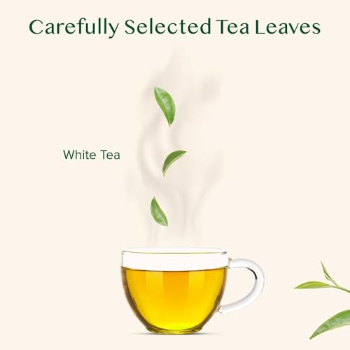 Image of VAHDAM, Imperial White Tea Leaves From Himalayas (25 Cups /1.76oz) High Elevation Grown, White Tea Loose Leaf Tea | Pure Unblended Loose Leaf Tea | Vacuum Sealed (Pack of 3)