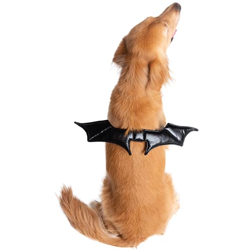 Disfraz de Murciélago para Perro PET KREWE One Size miniatura 5