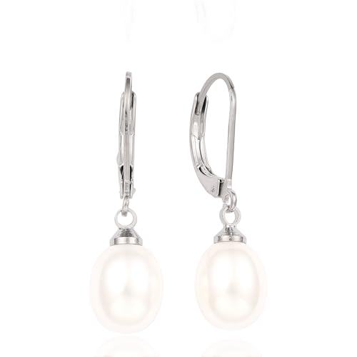 Limerencia G23 Titanium Leverback Earrings Dangle Drop Earrings for Women Fashion F136 Titanium Earrings Hypoallergenic Jewelry Gift