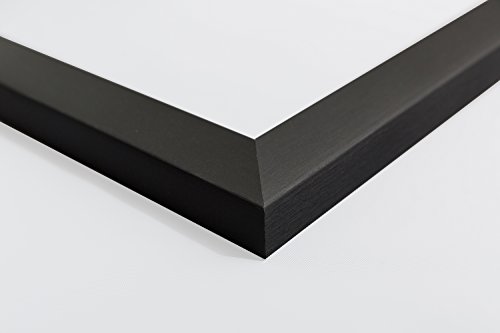 Gango Home Decor Popular Old-Fashioned Plant Botanical Prints; Four 8X10-Inch Black Framed Fine Art Prints; Ready To Hang! #TOP6