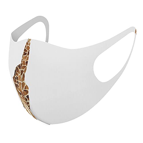 [X}R] fUC }XN QZbg |GXe 􂦂 z}XN jp 015867 L  Aj}