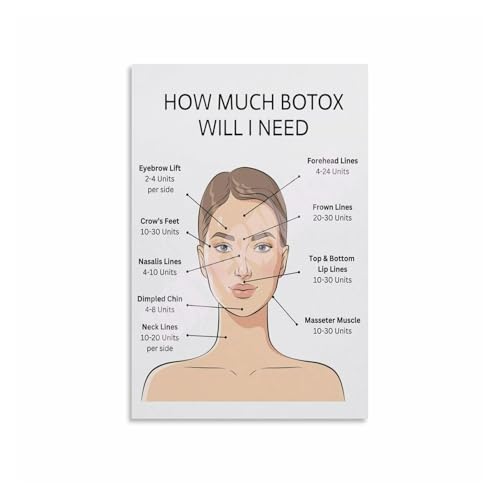 Educational Facial Anatomy Metal Tin Sign Detailed Chart Of Skin Layers And Muscles Medical Study Reference For Students And Tea