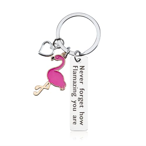 Goiern Flamingo Geschenke für Frauen, Flamingo Schlüsselanhänger Frauen Schlüsselanhänger, Inspirierende Geschenke für Frauen, Motivierende Geschenke, Mutmachende Geschenke