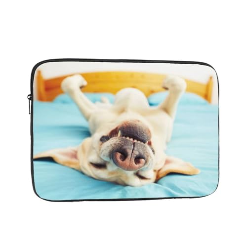 Ή Ă郉uh[ 15 Inch PcP[X Pc[Jo m[gp\R P[X ʋ ʊw