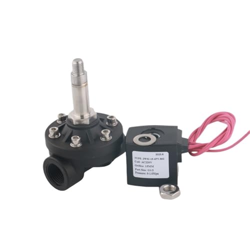 Solenoide 2WS1-15P AC220V para solucionar cortes de flujo en tubería DN15 5