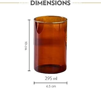 Borosil 295ml 6pc Vision Drinking Glass Set with Silicone Base | Made in India Borosilicate Glass Tumbler for Water/Juice| Microwave & Dishwasher Safe for Dailyuse & Gifting (Amber)