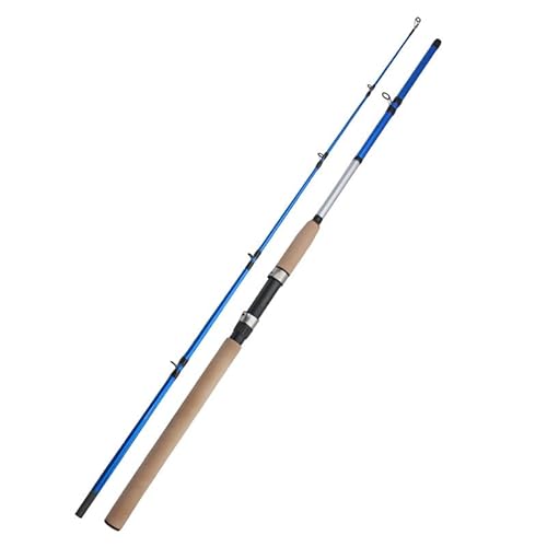 EPMNTHI Straight Handle Rod Lure Joint Long range Throwing Fishing Gear