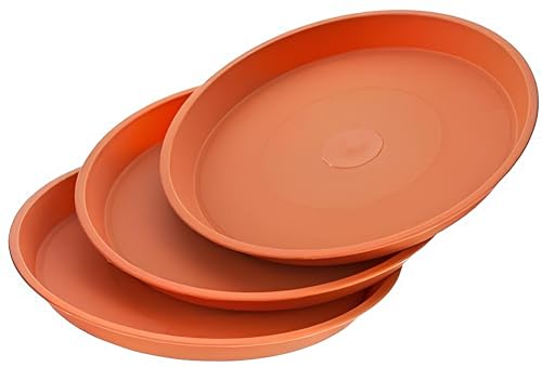 Image of SIGNY Round Bottom Tray(Plate /Saucer) Suitable for 12 Inch Round Plastic Pot - Brown - Set of 3 | Heavy Duty Highly Durable Plant Saucer for Indoor Home Decor & Outdoor Balcony Garden (3, 7.6 Brown)