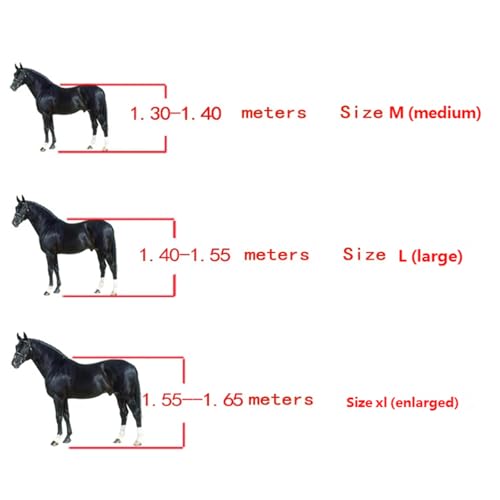 Protections pour chevaux : protège-jambes de cheval de sport - 5