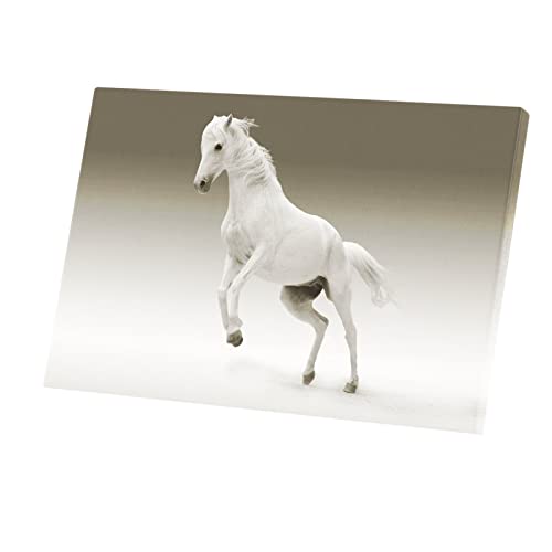 Toile imprimée cheval blanc au galop tableau de salon de qualité premium