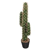 POPETPOP