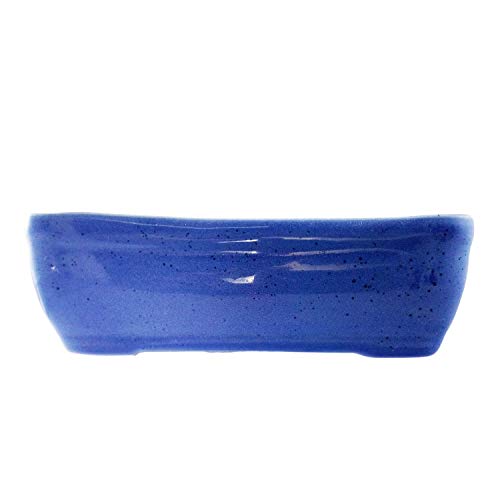 Lasaki Rectangle Ceramic Pots for Indoor Plants,Planters,Flower,gamla for Indoor,Outdoor,Balcony,Home,Garden,Office Decor,Succulent Pot(Sky Blue)(L:18.5 cm,W:11.5 cm,H:6 cm)rec003(Plants not included)