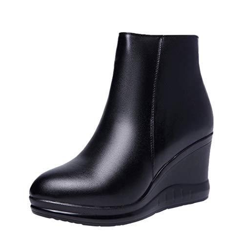 [CJAQ] V[gu[c ₷ Cq[ r V[Y  24.5cm obNWbp[ EGbW\[u[c T_ fB[X ₷ EFbWq[  RXv   ubN q u[c V[gu[c