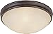 Capital Lighting 2044OR Flush Mount with Mist Scavo Glass Shades, Oil Rubbed Bronze Finish