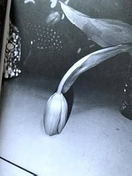 Amazon.co.jp: 森山大道 サイン MENU DAIDO MORIYAMA 杉本博司