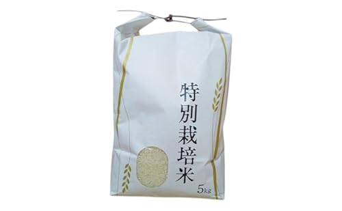 令和7年産 米 特別栽培米 コシヒカリ (白米) 5kg 5キロ 棚田米 どぶろく荘 こしひかり お米 コメ