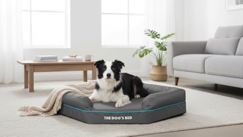 The Dog's Bed Orthopädisches Hundebett mit Memory-Schaum, Wasserdicht, Groß, Grau und Blau, lindert Arthritis und Hüftdysplasie, Therapeutisch und Unterstützend, Waschbar, Tierärztlich Geprüft