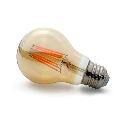 Oâ€™Bright Dimmable LED Edison Light Bulb, 6W, Dimmable, UL Listed, A19 LED Bulb/E26 Base, 2200K (Warm White), LED Filament Bulb/Vintage LED Bulb, Amber Glass, 1 Pack
