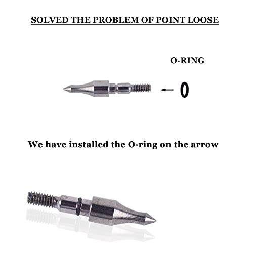 The 30 Best Archery Hunting Arrows of 2024 [Verified] Cherry Picks