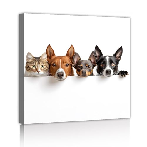 Affiche chien et chat rigolos pour déco de chambre de bébé moderne et épurée