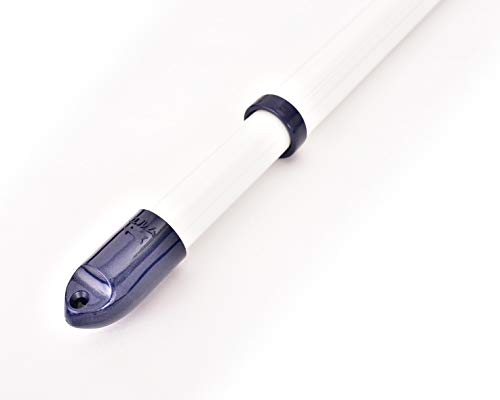 Lb  LkƎKтȂA~(1.5m2.6m܂ŐLтj{̃J[FzCgiLbvFu[j