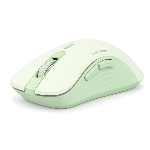 RAPIQUE Bluetooth Wireless Mouse Dual Bluetooth & 2.4GHz USB Receiver Right-Hand Design Quiet Clicks Low Power Multi-Device Compatibility for MacBook Laptop Computer iPad PC - Sage Green