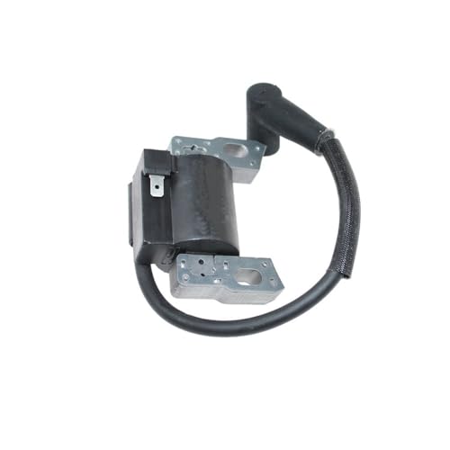 Bobina de encendido para reparar el encendido de motores 121Q02, 111P02 y 11P905