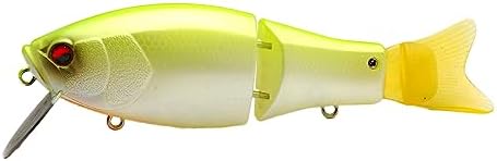 Raid Japan Gravity Impact GI 2023 NewColor