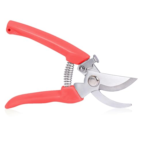 JINGYOU oT~  ΂ p XeX y ^ }؂oT~ Kтɂ |͂ ΂ ₷ TNTN؂ }؂EԁEAEAEʕE (bh)