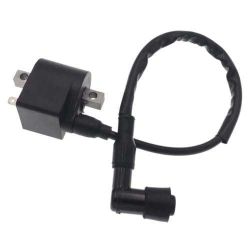 1Pcs Ignition Coil 50cc 2-Stroke 100cc Compatible With Automotive Motorcycle Parts LT50 LTA50 Jincheng AX100 A100 AK100 FR80 ATV Quad 4 Wheel Motorcycle Bike