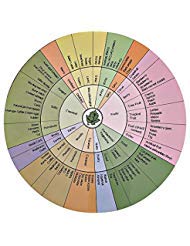 INNOVINUM ACADEMY A. C. Noble - Wine Aroma Wheel