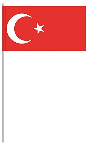 Preisvergleich Produktbild partydiscount24 10 x Papierfähnchen Türkei
