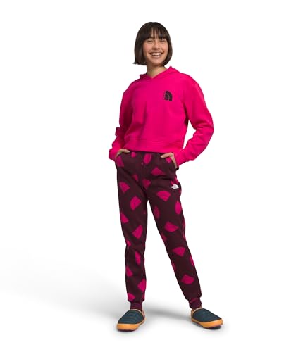 The North Face Girls' Camp Fleece Pullover Hoodie - Girls'3